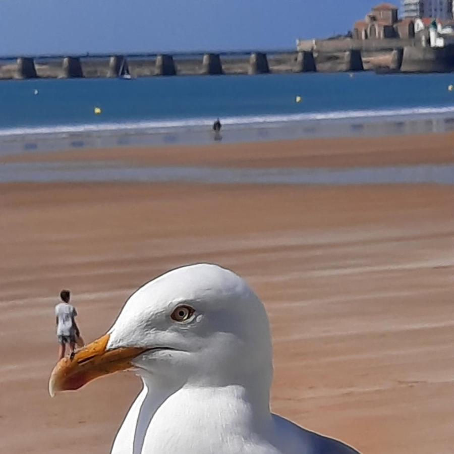 Appartement Vue Sur Mer Les Sables-dʼOlonne Dış mekan fotoğraf